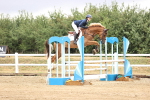 SBM_025440