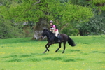 Class 9 - 15 years and over portfolio