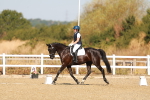 SBM_016605