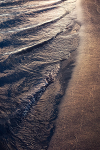 BRONZED - LONG POINT BEACH