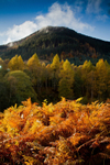 Highland volcano