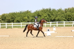 SBM_008635
