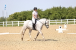 SBM_009145