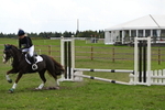 Show Jumping portfolio