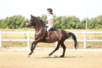 SBM_000631
