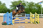 Cls 39 British Novice & Open portfolio