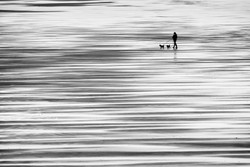 Recent Photographs portfolio