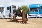 SBM_15175