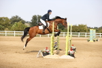 SBM_03497