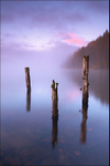 Loch Tay Trio