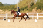 SBM_018338