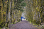 Kielder Ultra-1127