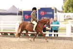 SBM_01595
