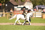SBM_49986