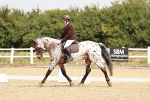 SBM_002733