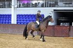 SBM_003521