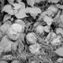 Nashinoki Jizo 4