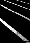 Abstract Black & White