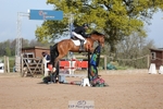 Cls 32 Young Horse 6yr old portfolio