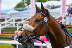 150526-Race 1-Zarathos-7074