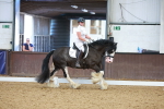 SBM_007445