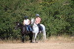 WJ6_7977