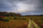 Strolling the Moors 12 x 18