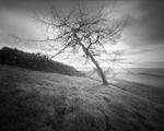 Prevailing Wind, Beamsley