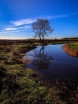 Leighton Moss 01 C