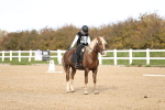 SBM_000897