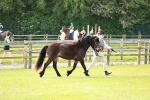 SBM_00637
