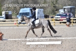 BPP_9341