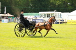 SBM_02684