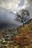 Rolling Mist (Haweswater)