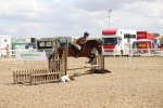 SBM_04216