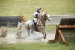 BVHT 140517  IXC -771