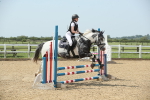 SBM_011595