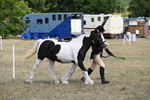 WJ6_6482