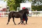 SBM_10254