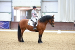 SBM_000055