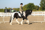 SBM_01114