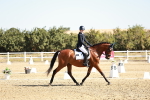 SBM_017004