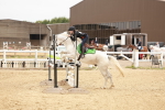 SBM_008656