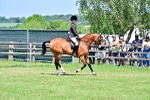 SBM_17407