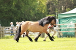 SBM_02492