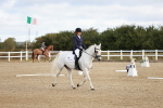 SBM_009049