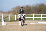 SBM_002006