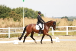 SBM_002616