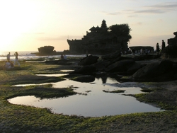 Bali portfolio