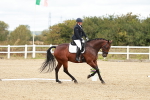SBM_010146